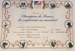 Des garrigues du loup du canebas - Kity Championne de France